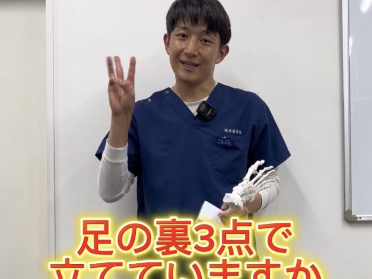 歩行ケアプロソックスを履いてみた！小指の安定感で足の踏ん張りが変わる